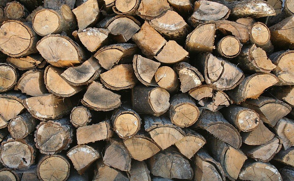 Bois de chauffage séché – Premium