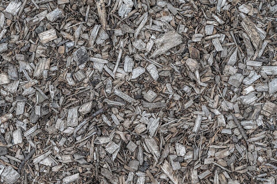 Copeaux de bois pour paillage